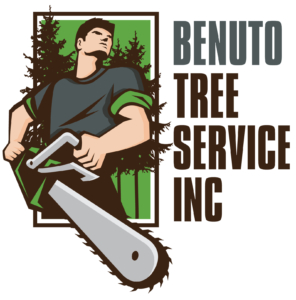 benuto_logo_inc_00000