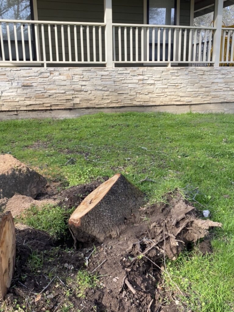 Large Stump Removal